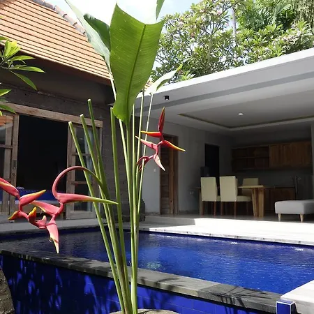 Hana Villa